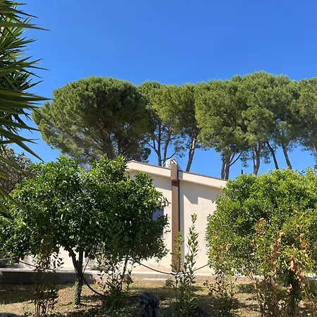 Monstera Sicilianexperience 3* San Corrado di Fuori