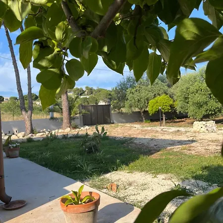 לינה וארוחת בוקר Monstera Sicilianexperience 3*